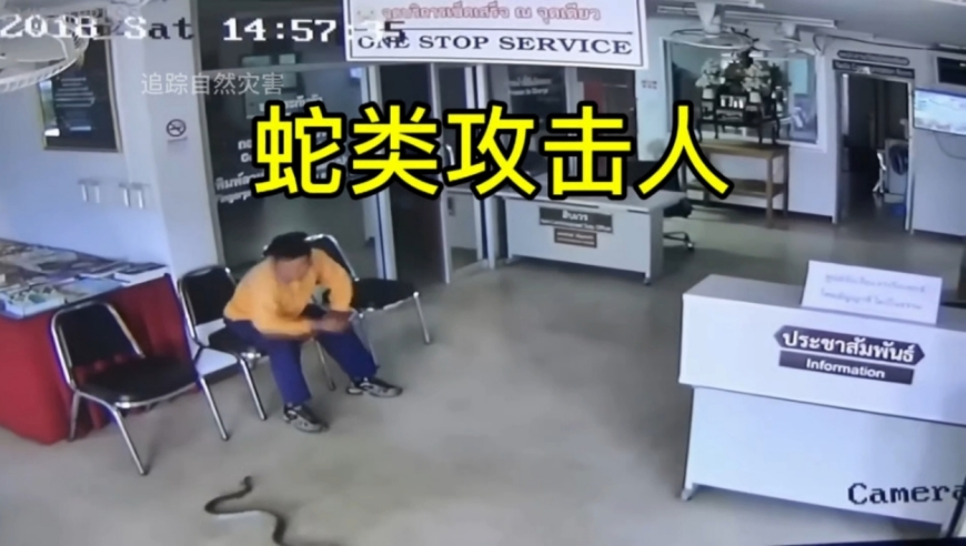 308每期文字资料246好彩一,AI陪聊乱象调查,最新正品解答落实_黄金版V3.70