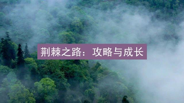 荆棘之路：攻略与成长